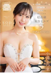 藝人以五星級款待引領您邁向極致射精的頂級高級風俗之丘 五種情境 小湊四葉