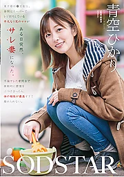 Living in Suginami Ward, Tokyo, an ordinary mom of one suddenly became a cuckolded wife. When two cheated-on spouses impulsively vented their pent-up frustration at each other, their physical chemistry was so perfect they couldn't pull away. Hikari Aozora