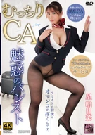 Plump CA, fascinating pantyhose, Asuna Hoshi