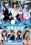 High School Girls Encyclopedia, Green School Uniform Edition