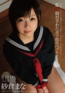 School Girls That Have Been Bred Pet Confinement Mana Sakura