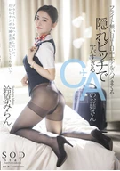 A Day No Flight, Fucked Repeatedly In A Hotel All Day, A Hidden Bitch And Too Outrageous Cabin Attendant Lady, Miran Suzuhara