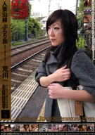 Travel Journal, Arakawa Version